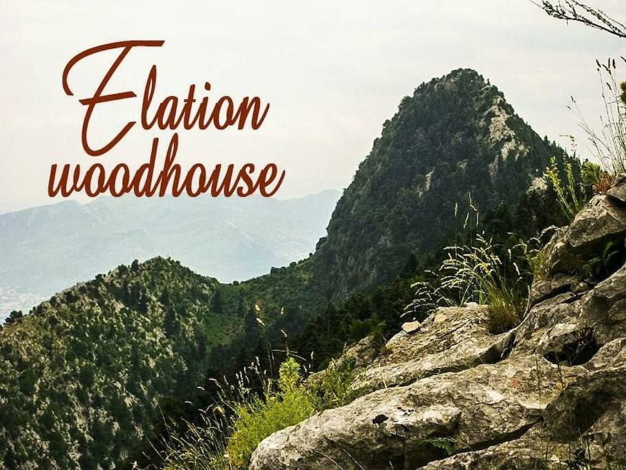 דירות Elation Woodhouse מראה חיצוני תמונה